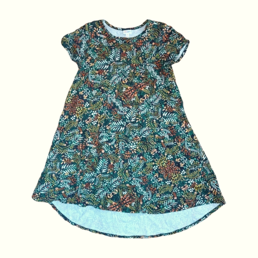 LuLaRue t shirt dress